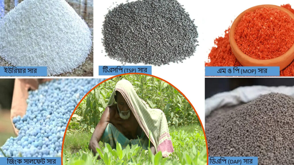 সারের দামে আগুন, অস্থির বাজারে শঙ্কায় চাষাবাদ