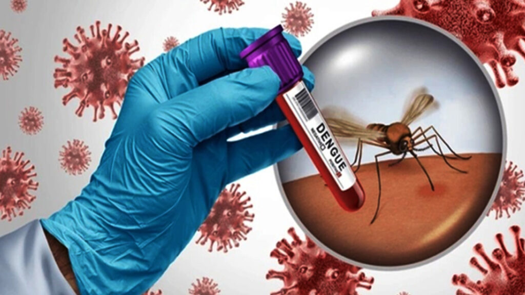 ডেঙ্গুতে ২৪ ঘণ্টায় ৫ জনের প্রাণহানি, ভর্তি ৪৯০ জন