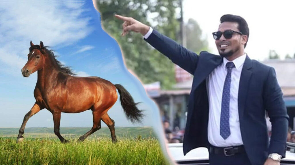 ঘোড়া প্রতীক পেলেন লালমনিরহাট-০১ আসনের স্বতন্ত্র প্রার্থী শিহাব আহমেদ