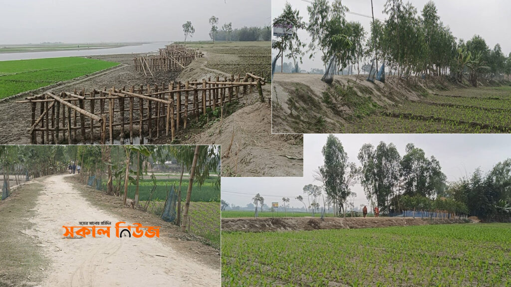 নদীভাঙন ও বন্যার বিরুদ্ধে লড়াই: লালমনিরহাটে গণ উন্নয়ন কেন্দ্রের উদ্যোগ