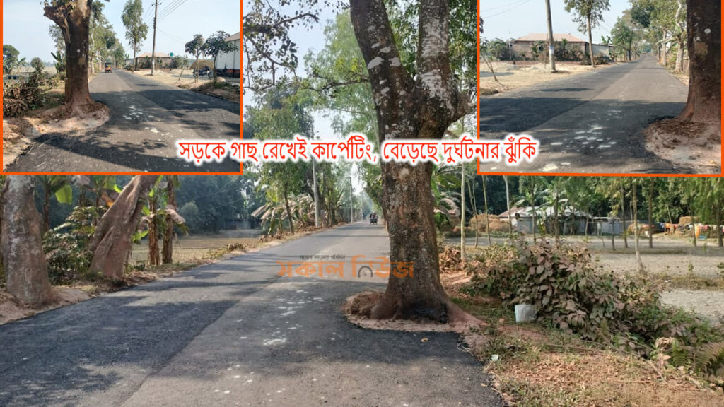 সড়কে গাছ রেখেই কার্পেটিং, বেড়েছে দুর্ঘটনার ঝুঁকি