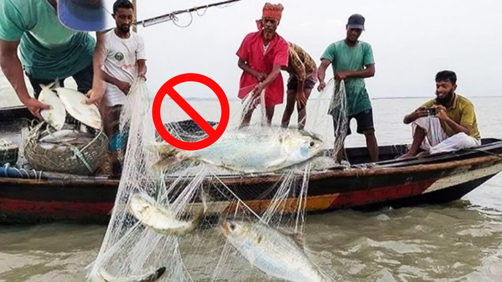 পদ্মা-মেঘনায় মধ্যরাত থেকে দুই মাস মাছ ধরা বন্ধ